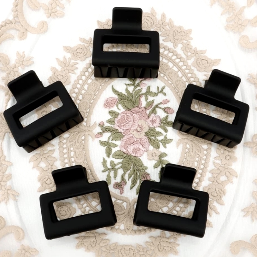 5 mini hair clips